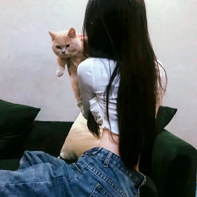 星月无尽